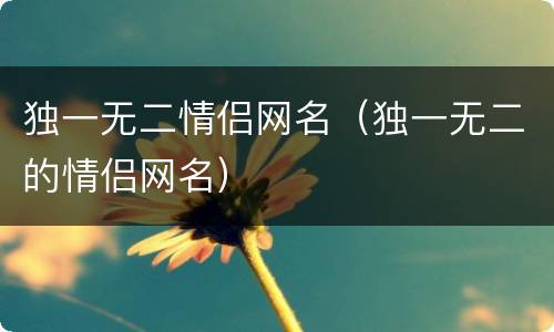 独一无二情侣网名（独一无二的情侣网名）