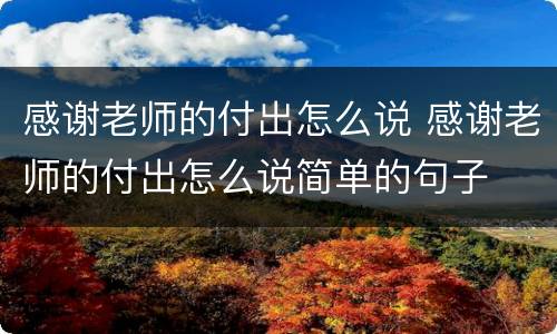 感谢老师的付出怎么说 感谢老师的付出怎么说简单的句子