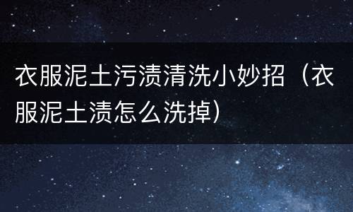 衣服泥土污渍清洗小妙招（衣服泥土渍怎么洗掉）