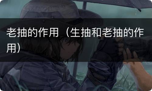 老抽的作用（生抽和老抽的作用）