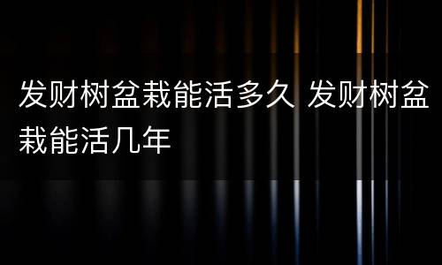 发财树盆栽能活多久 发财树盆栽能活几年