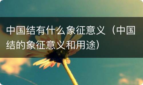 中国结有什么象征意义（中国结的象征意义和用途）