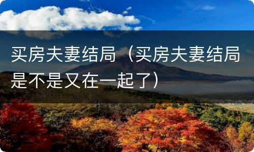 买房夫妻结局（买房夫妻结局是不是又在一起了）