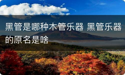 黑管是哪种木管乐器 黑管乐器的原名是啥