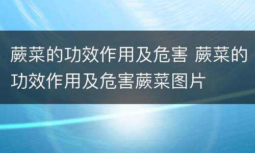 蕨菜的功效作用及危害 蕨菜的功效作用及危害蕨菜图片