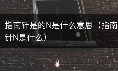 指南针是的N是什么意思（指南针N是什么）