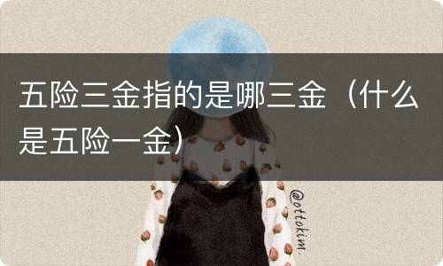 五险三金指的是哪三金（什么是五险一金）