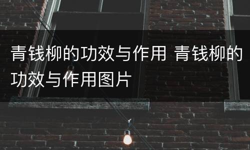 青钱柳的功效与作用 青钱柳的功效与作用图片