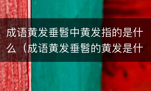 成语黄发垂髫中黄发指的是什么（成语黄发垂髫的黄发是什么意思）