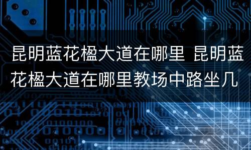昆明蓝花楹大道在哪里 昆明蓝花楹大道在哪里教场中路坐几路车