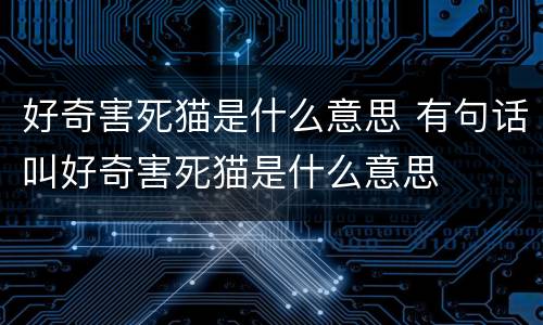 好奇害死猫是什么意思 有句话叫好奇害死猫是什么意思