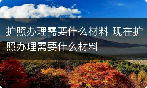 护照办理需要什么材料 现在护照办理需要什么材料