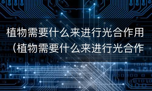 植物需要什么来进行光合作用（植物需要什么来进行光合作用呢）