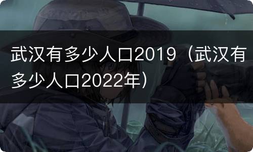 武汉有多少人口2019（武汉有多少人口2022年）