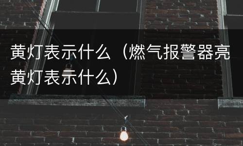 黄灯表示什么（燃气报警器亮黄灯表示什么）