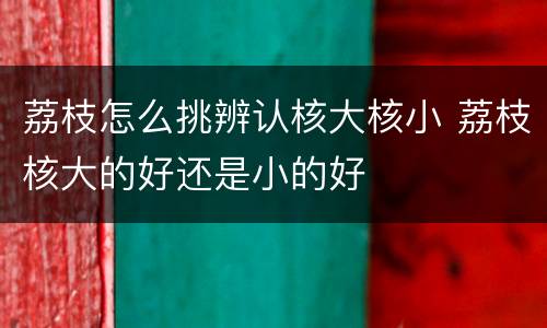 荔枝怎么挑辨认核大核小 荔枝核大的好还是小的好