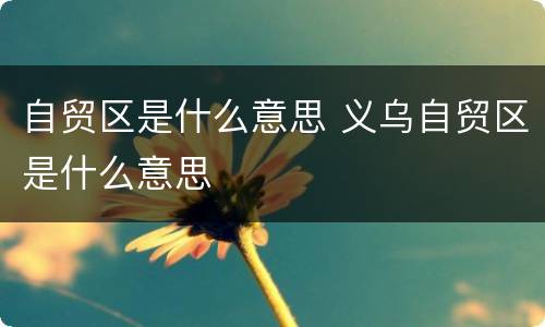 自贸区是什么意思 义乌自贸区是什么意思