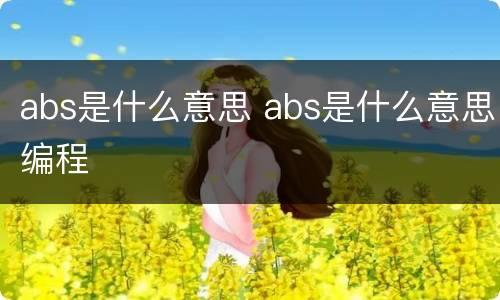 abs是什么意思 abs是什么意思编程