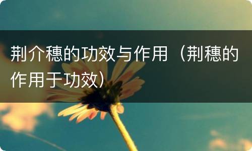 荆介穗的功效与作用（荆穗的作用于功效）
