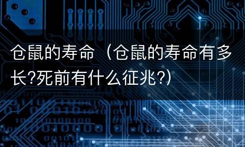 仓鼠的寿命（仓鼠的寿命有多长?死前有什么征兆?）