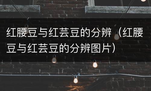 红腰豆与红芸豆的分辨（红腰豆与红芸豆的分辨图片）