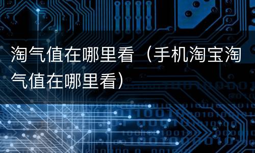 淘气值在哪里看（手机淘宝淘气值在哪里看）