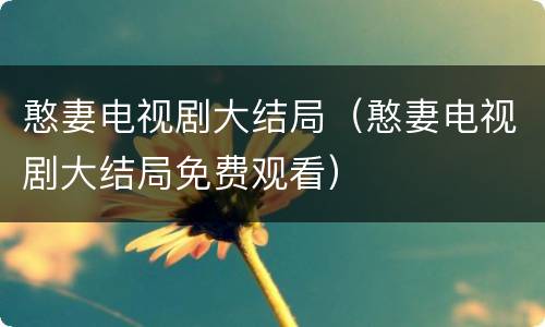 憨妻电视剧大结局（憨妻电视剧大结局免费观看）