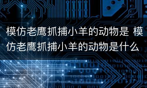 模仿老鹰抓捕小羊的动物是 模仿老鹰抓捕小羊的动物是什么