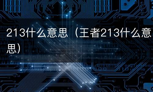 213什么意思（王者213什么意思）