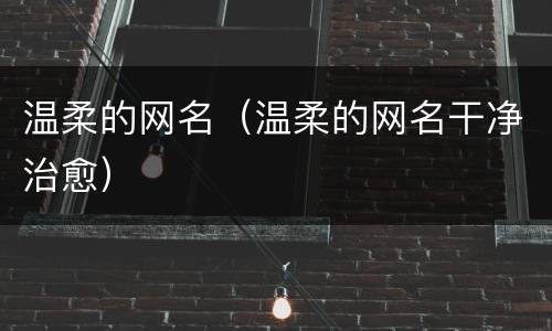 温柔的网名（温柔的网名干净治愈）