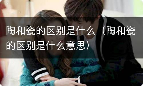 陶和瓷的区别是什么（陶和瓷的区别是什么意思）