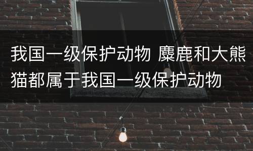 我国一级保护动物 麋鹿和大熊猫都属于我国一级保护动物