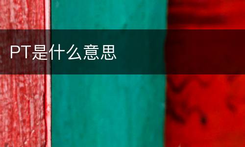 PT是什么意思