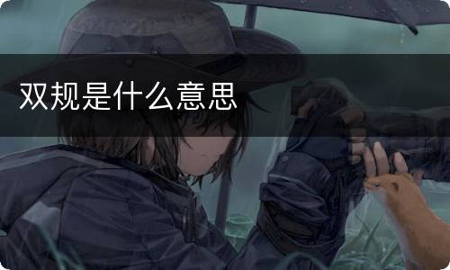 双规是什么意思