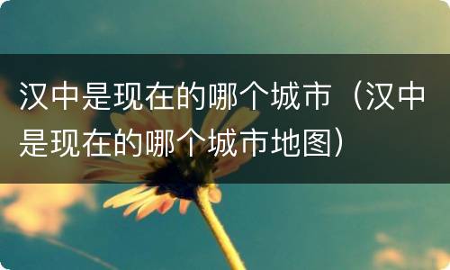 汉中是现在的哪个城市（汉中是现在的哪个城市地图）