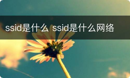 ssid是什么 ssid是什么网络