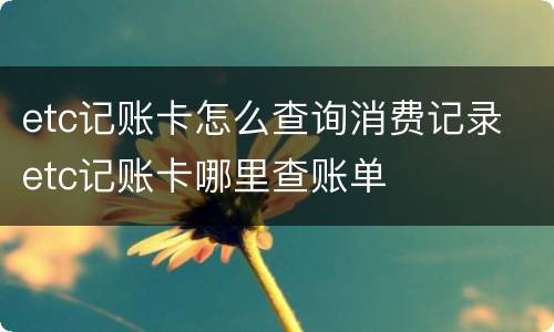 etc记账卡怎么查询消费记录 etc记账卡哪里查账单