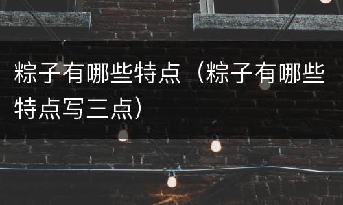粽子有哪些特点（粽子有哪些特点写三点）