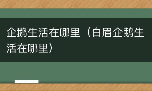 企鹅生活在哪里（白眉企鹅生活在哪里）