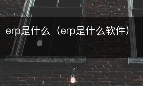 erp是什么（erp是什么软件）
