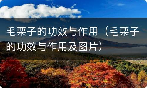毛栗子的功效与作用（毛栗子的功效与作用及图片）