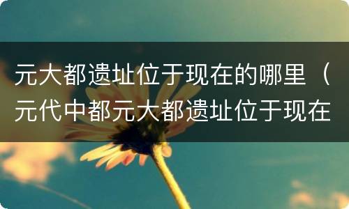元大都遗址位于现在的哪里（元代中都元大都遗址位于现在的哪里）