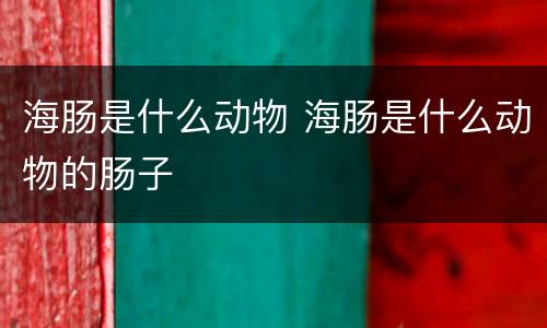 海肠是什么动物 海肠是什么动物的肠子