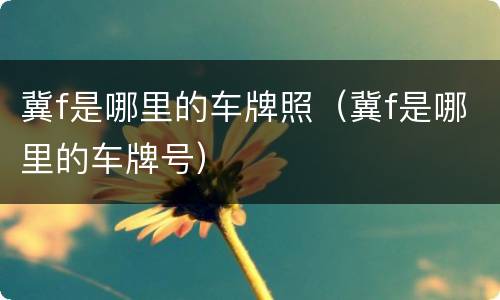冀f是哪里的车牌照（冀f是哪里的车牌号）