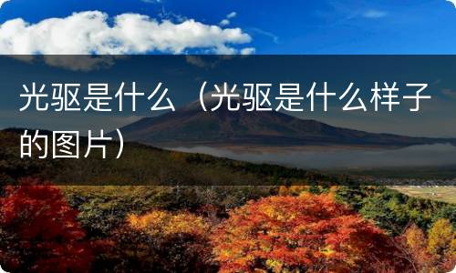 光驱是什么（光驱是什么样子的图片）