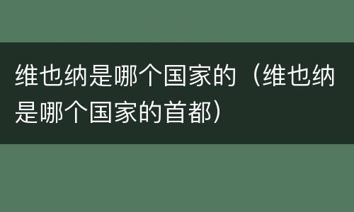 维也纳是哪个国家的（维也纳是哪个国家的首都）