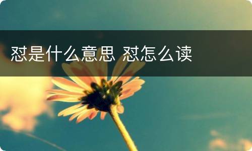怼是什么意思 怼怎么读