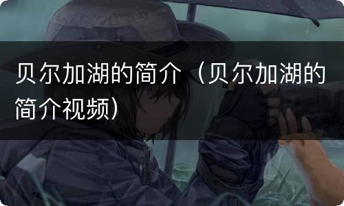 贝尔加湖的简介（贝尔加湖的简介视频）