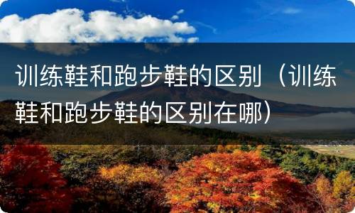 训练鞋和跑步鞋的区别（训练鞋和跑步鞋的区别在哪）