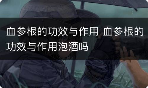 血参根的功效与作用 血参根的功效与作用泡酒吗